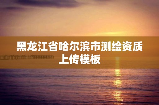 黑龙江省哈尔滨市测绘资质上传模板