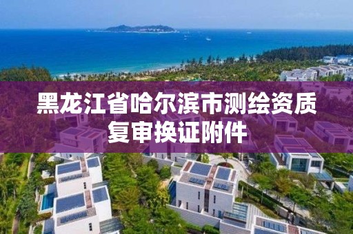 黑龙江省哈尔滨市测绘资质复审换证附件