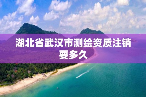 湖北省武汉市测绘资质注销要多久