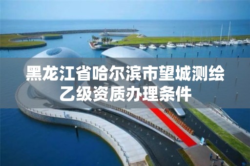 黑龙江省哈尔滨市望城测绘乙级资质办理条件