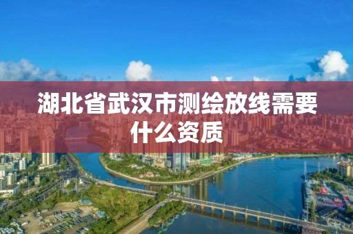 湖北省武汉市测绘放线需要什么资质