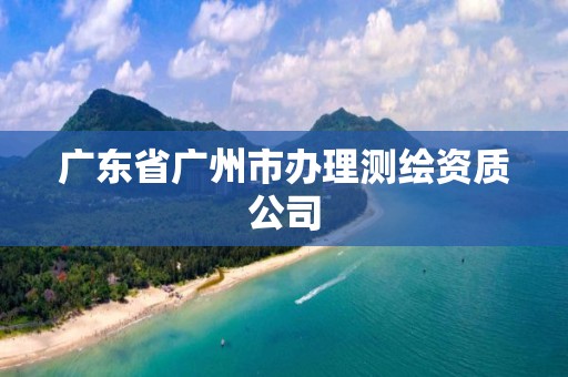 广东省广州市办理测绘资质公司