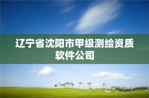 辽宁省沈阳市甲级测绘资质软件公司