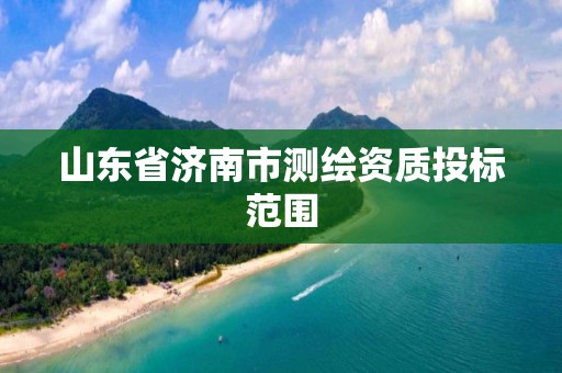 山东省济南市测绘资质投标范围