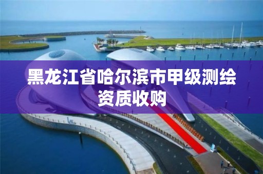 黑龙江省哈尔滨市甲级测绘资质收购