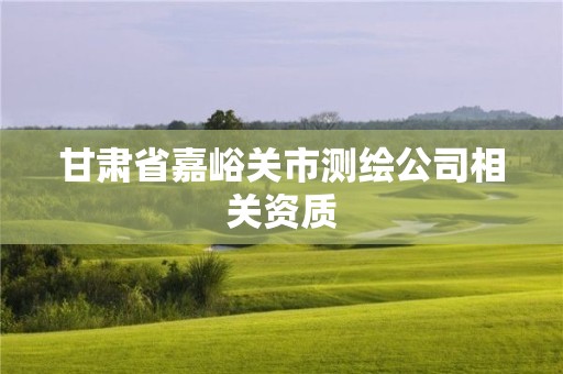 甘肃省嘉峪关市测绘公司相关资质