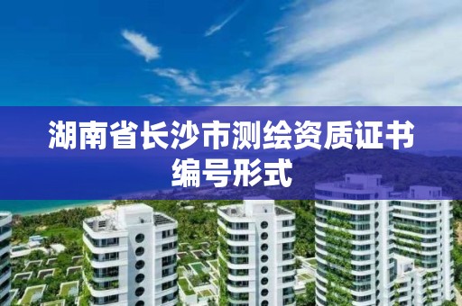 湖南省长沙市测绘资质证书编号形式