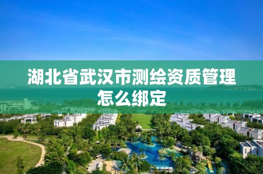 湖北省武汉市测绘资质管理怎么绑定