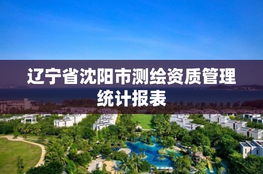 辽宁省沈阳市测绘资质管理统计报表