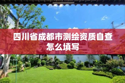 四川省成都市测绘资质自查怎么填写