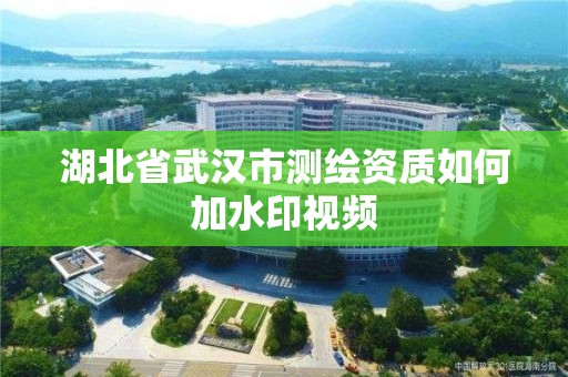 湖北省武汉市测绘资质如何加水印视频