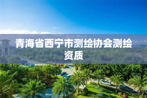 青海省西宁市测绘协会测绘资质