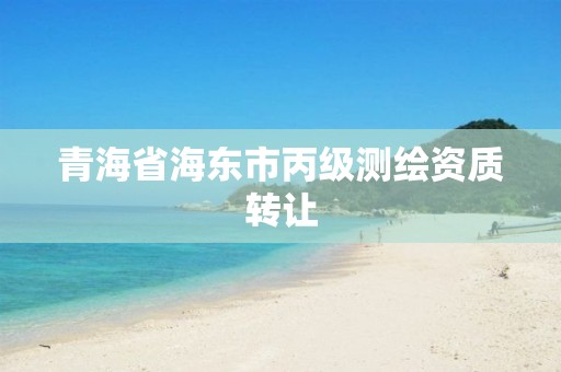 青海省海东市丙级测绘资质转让