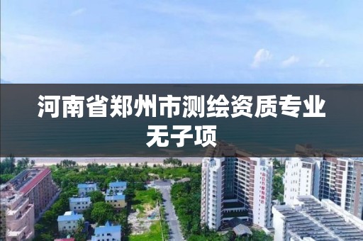 河南省郑州市测绘资质专业无子项