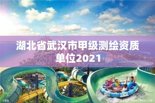 湖北省武汉市甲级测绘资质单位2021