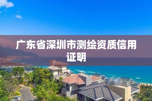 广东省深圳市测绘资质信用证明