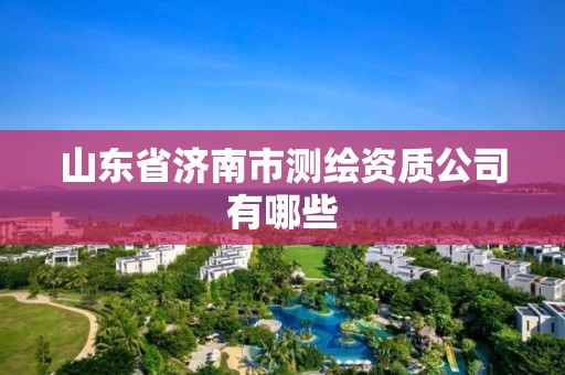 山东省济南市测绘资质公司有哪些