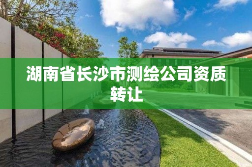 湖南省长沙市测绘公司资质转让