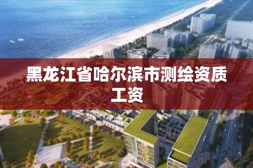 黑龙江省哈尔滨市测绘资质工资