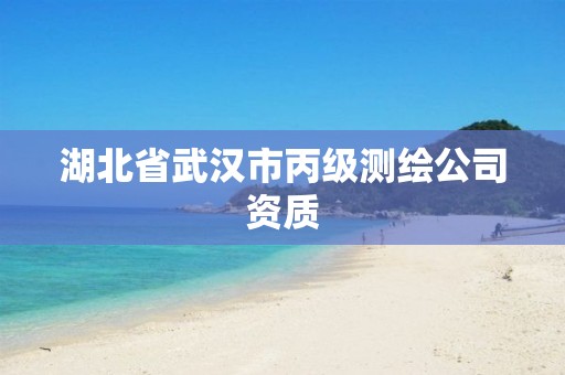 湖北省武汉市丙级测绘公司资质