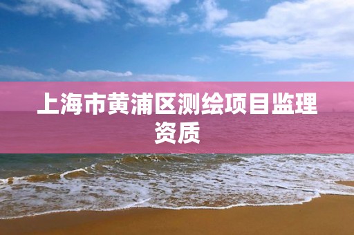 上海市黄浦区测绘项目监理资质