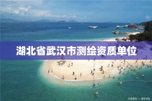 湖北省武汉市测绘资质单位