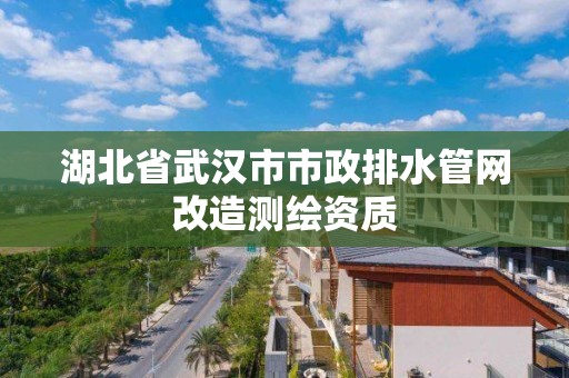 湖北省武汉市市政排水管网改造测绘资质