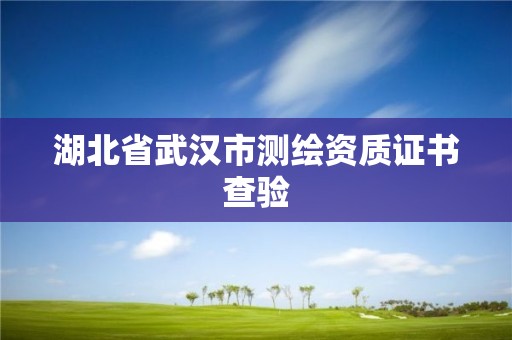 湖北省武汉市测绘资质证书查验