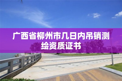 广西省柳州市几日内吊销测绘资质证书