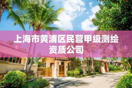 上海市黄浦区民营甲级测绘资质公司