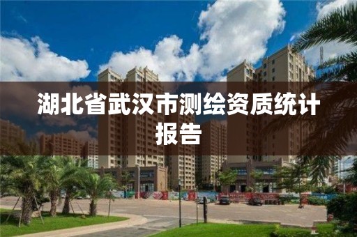 湖北省武汉市测绘资质统计报告