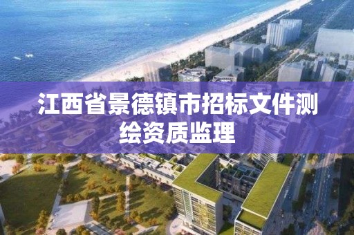 江西省景德镇市招标文件测绘资质监理