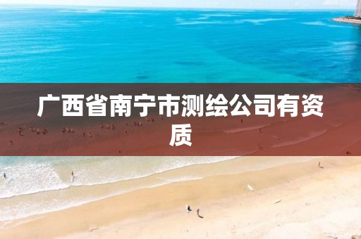 广西省南宁市测绘公司有资质