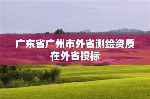 广东省广州市外省测绘资质在外省投标