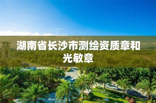 湖南省长沙市测绘资质章和光敏章