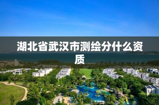 湖北省武汉市测绘分什么资质