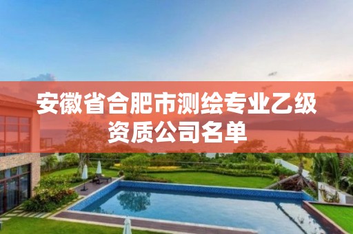 安徽省合肥市测绘专业乙级资质公司名单