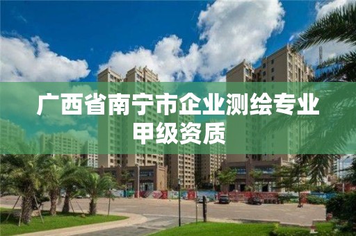 广西省南宁市企业测绘专业甲级资质