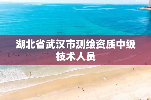 湖北省武汉市测绘资质中级技术人员