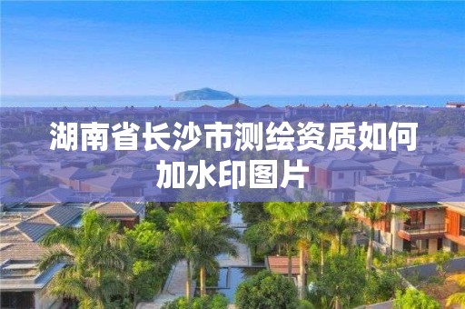 湖南省长沙市测绘资质如何加水印图片