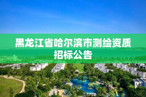 黑龙江省哈尔滨市测绘资质招标公告