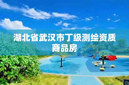 湖北省武汉市丁级测绘资质商品房