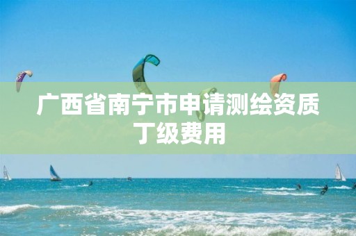 广西省南宁市申请测绘资质丁级费用