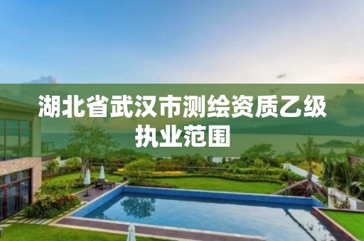 湖北省武汉市测绘资质乙级执业范围