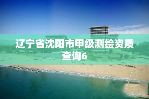 辽宁省沈阳市甲级测绘资质查询6