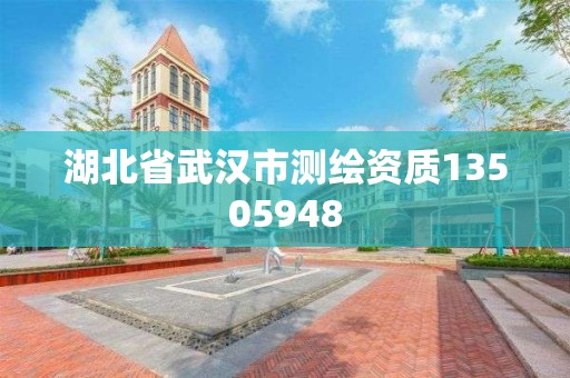 湖北省武汉市测绘资质13505948