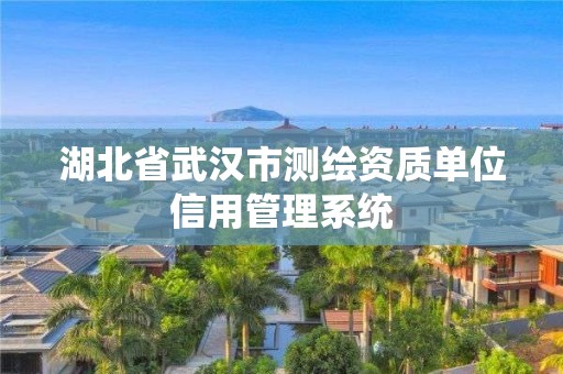 湖北省武汉市测绘资质单位信用管理系统