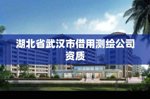 湖北省武汉市借用测绘公司资质