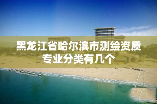 黑龙江省哈尔滨市测绘资质专业分类有几个