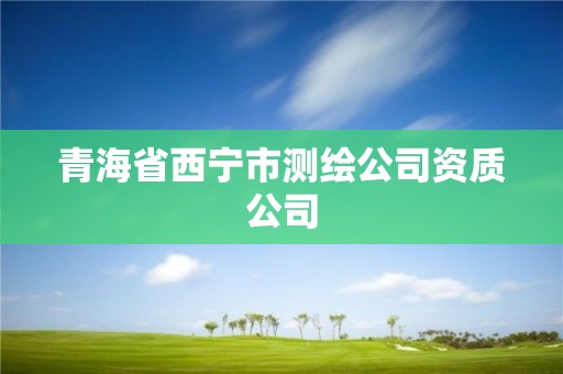 青海省西宁市测绘公司资质公司